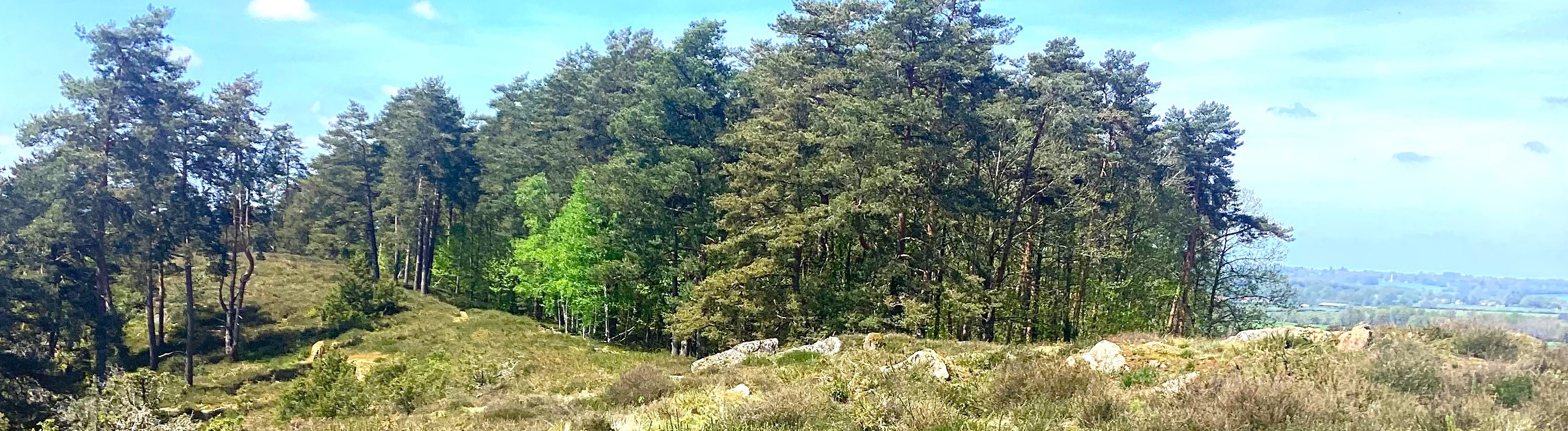 IMG 9624