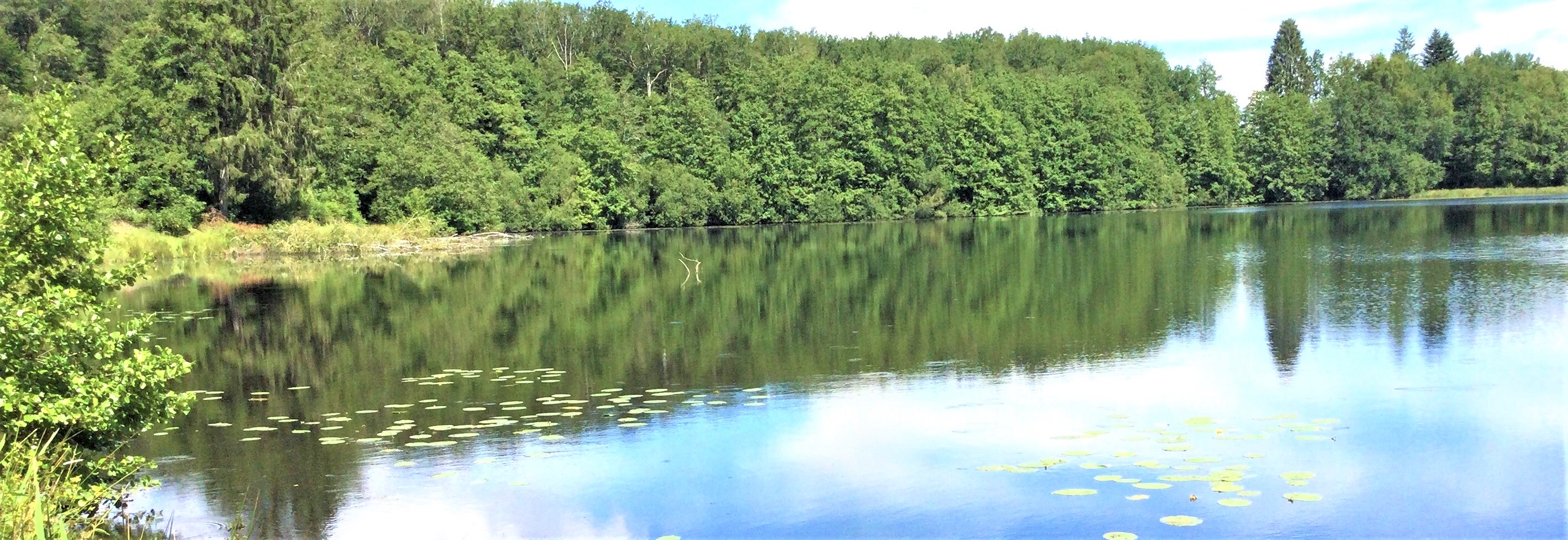 etang 17