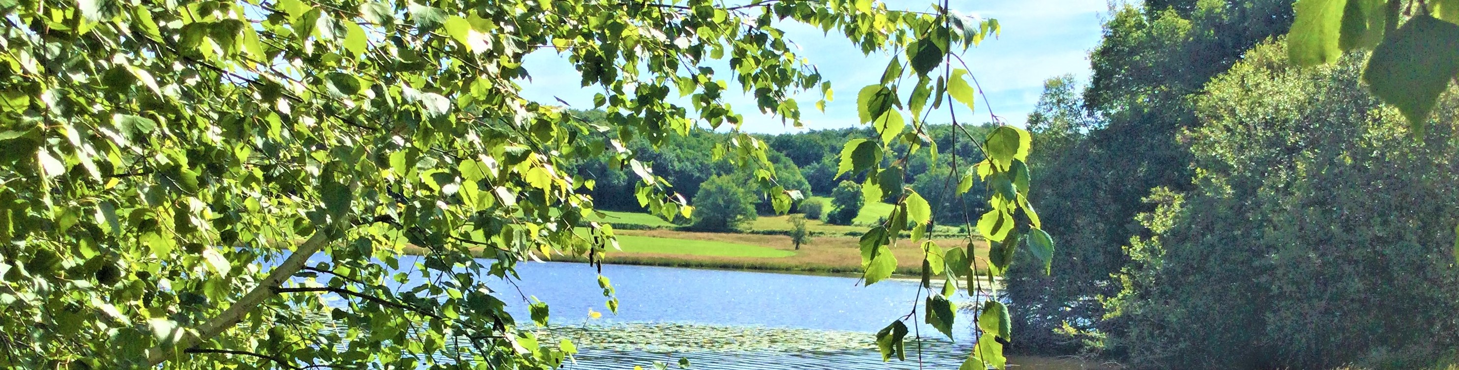 etang de la valette 2