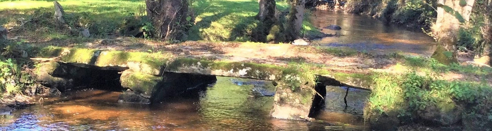 pont planche 7 2